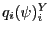 $q_i(\psi)^Y_i$