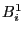 $B_i^1$