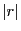 $\vert r\vert$